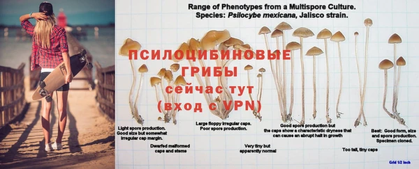 гашишное масло Дмитриев